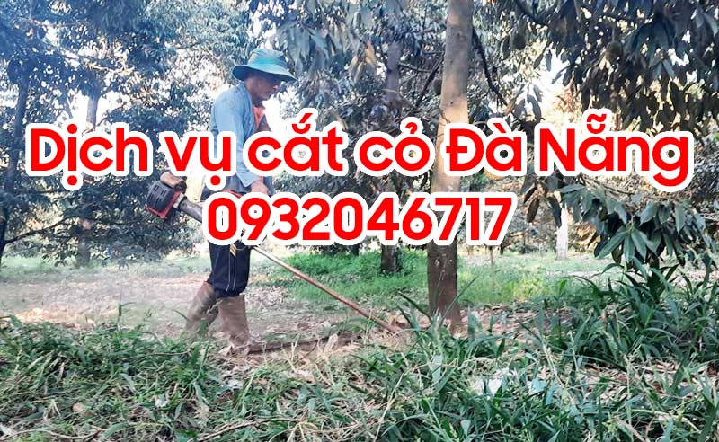 Dịch vụ cắt cỏ tại Đà Nẵng
