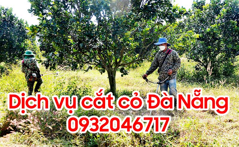 Dịch vụ cắt cỏ tại Đà Nẵng giá rẻ